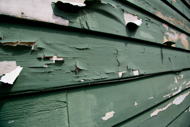 How To Choose The Right Materials for Your Siding Installation in 'Panacea, FL